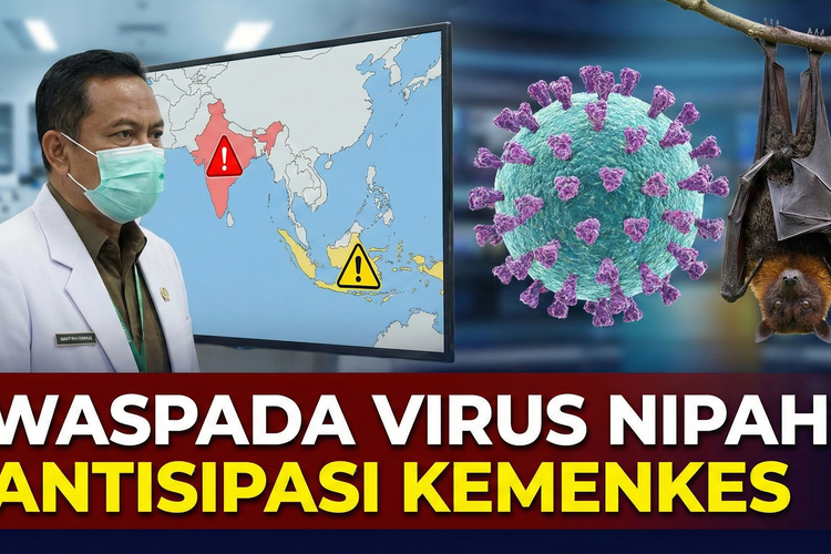 Kasus Nipah Kini Jadi Sorotan Global