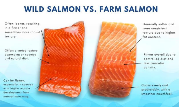 Perbedaan Ikan Salmon Liar Dan Budidaya: Mana Lebih Baik?