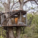 Manfaat Rumah Pohon Untuk Anak Dan Lingkungan