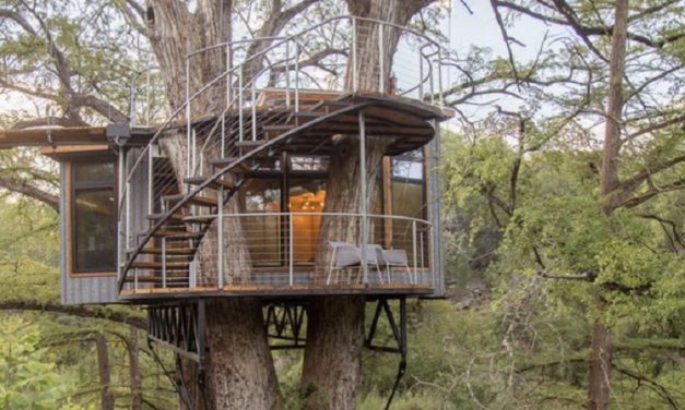 Manfaat Rumah Pohon Untuk Anak Dan Lingkungan