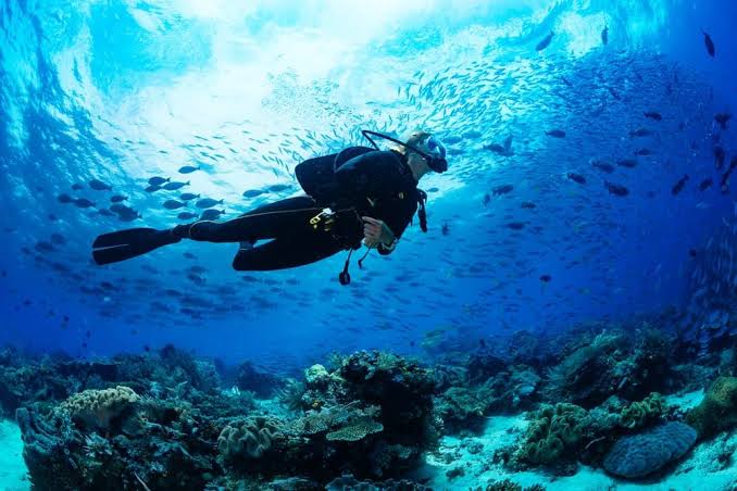 Scuba Diving Bagi Pemula: Panduan Lengkap Sebelum Menyelam