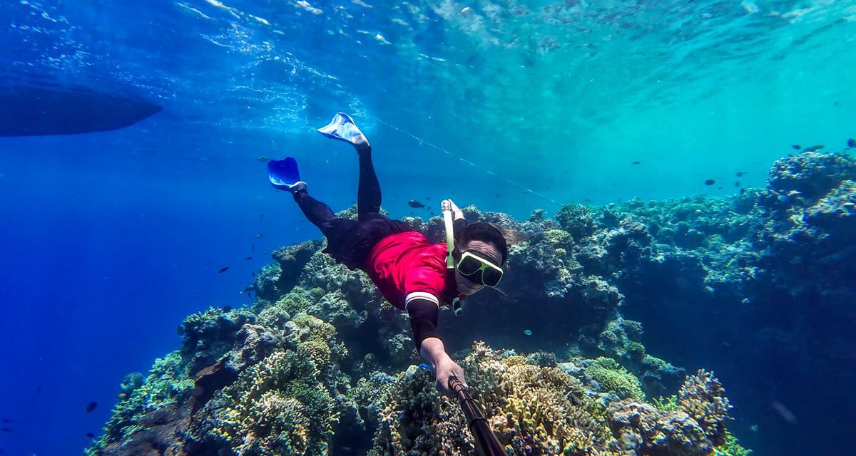 Scuba Diving VS Freediving: Perbedaan, Biaya, Tingkat Kesulitan