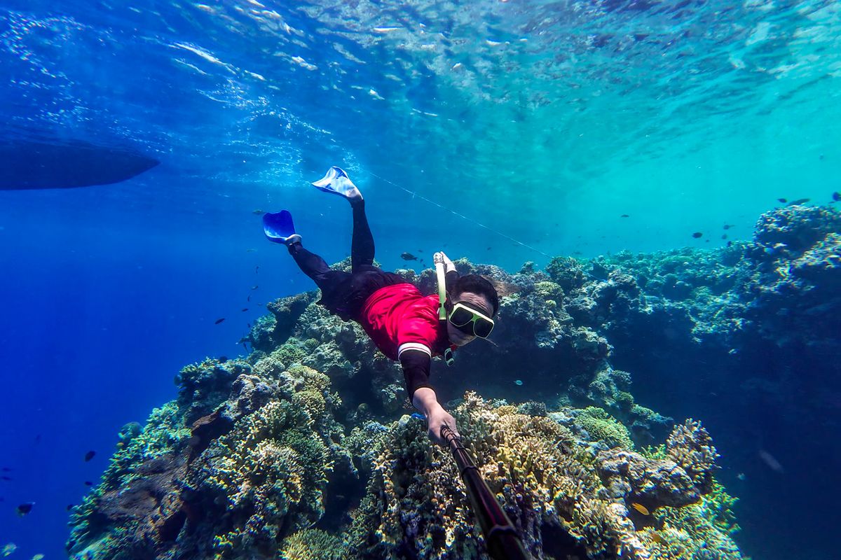 Scuba Diving VS Freediving: Perbedaan, Biaya, Tingkat Kesulitan