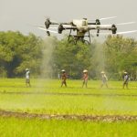 Drone Pertanian: Memantau Dan Mengoptimalkan Pemupukan