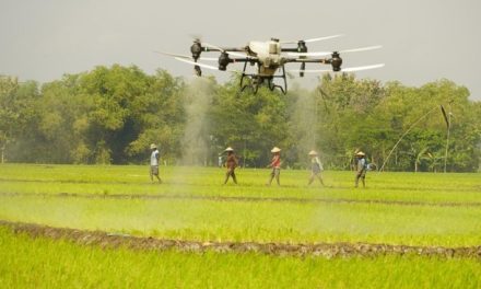 Drone Pertanian: Memantau Dan Mengoptimalkan Pemupukan