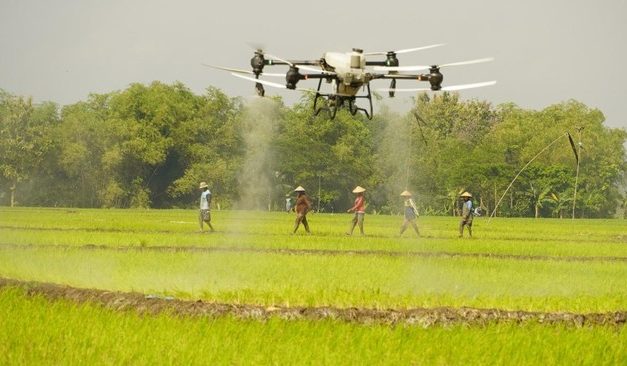 Drone Pertanian: Memantau Dan Mengoptimalkan Pemupukan