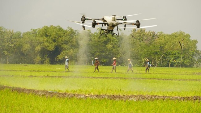 Drone Pertanian: Memantau Dan Mengoptimalkan Pemupukan