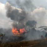 Kerusakan Ekosistem Kebakaran Hutan Kalimantan Sudah 4 bulan
