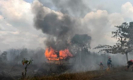 Kerusakan Ekosistem Kebakaran Hutan Kalimantan Sudah 4 bulan