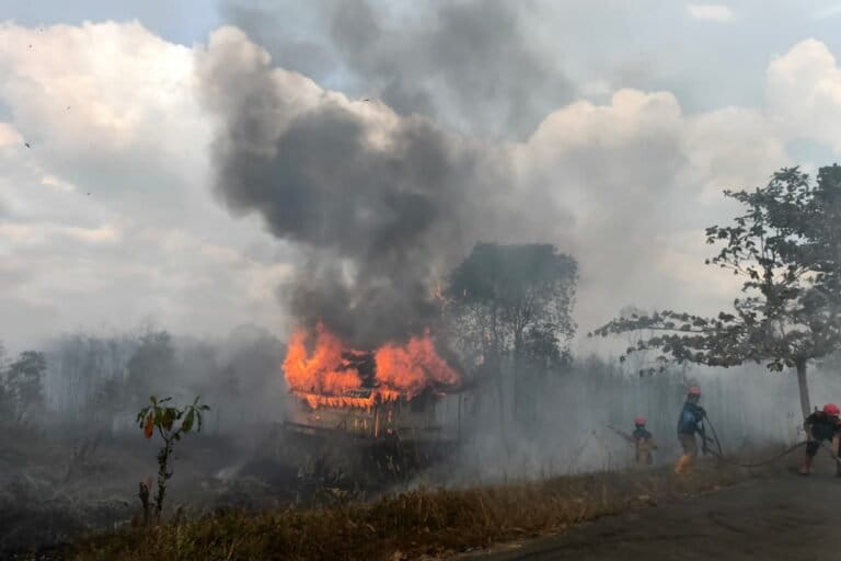 Kerusakan Ekosistem Kebakaran Hutan Kalimantan Sudah 4 bulan