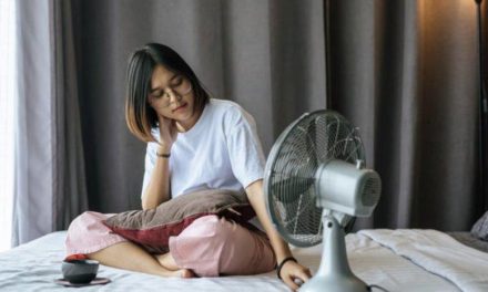 Kipas Angin: Cara Kerja Dan Tips Menggunakannya Tetap Nyaman