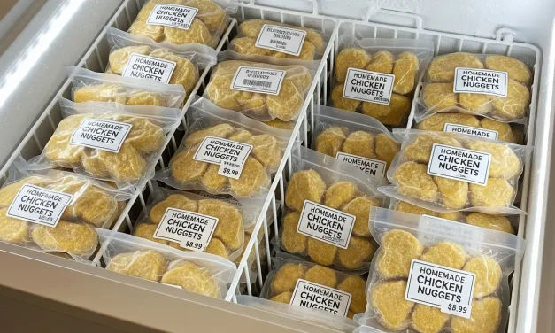 Peluang Bisnis Makanan Beku Perubahan Kebiasaan Konsumen