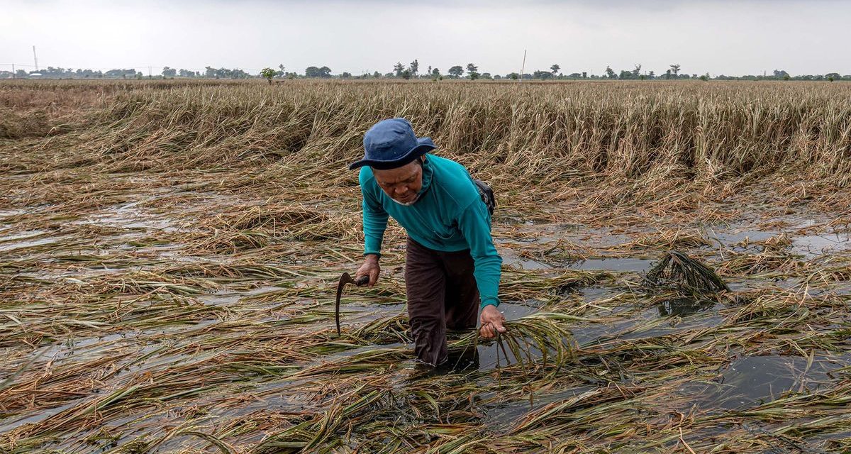 Perubahan Iklim: Dampak Bagi Pertanian Dan Ketahanan Pangan