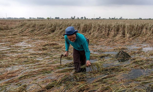 Perubahan Iklim: Dampak Bagi Pertanian Dan Ketahanan Pangan